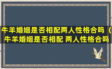 牛羊婚姻是否相配两人性格合吗（牛羊婚姻是否相配 两人性格合吗）